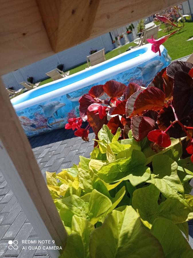 Caloroczny Osrodek Wypoczynkowy Comfort House Duszniki Zdrój Eksteriør billede